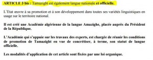 Tamazigh-langue_nationale